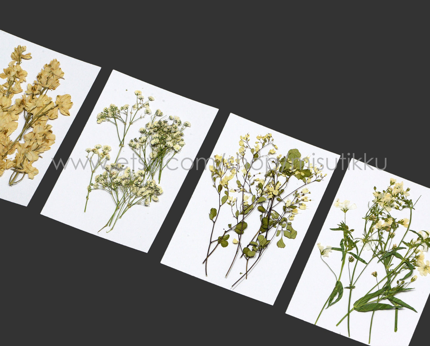 20 PCS Set Pressed Dried Flower with Stems, Ivory White Pressed Flower, Pressed Brown Leaves Flat Flowers, Preserved Real Dry Wild Flowers