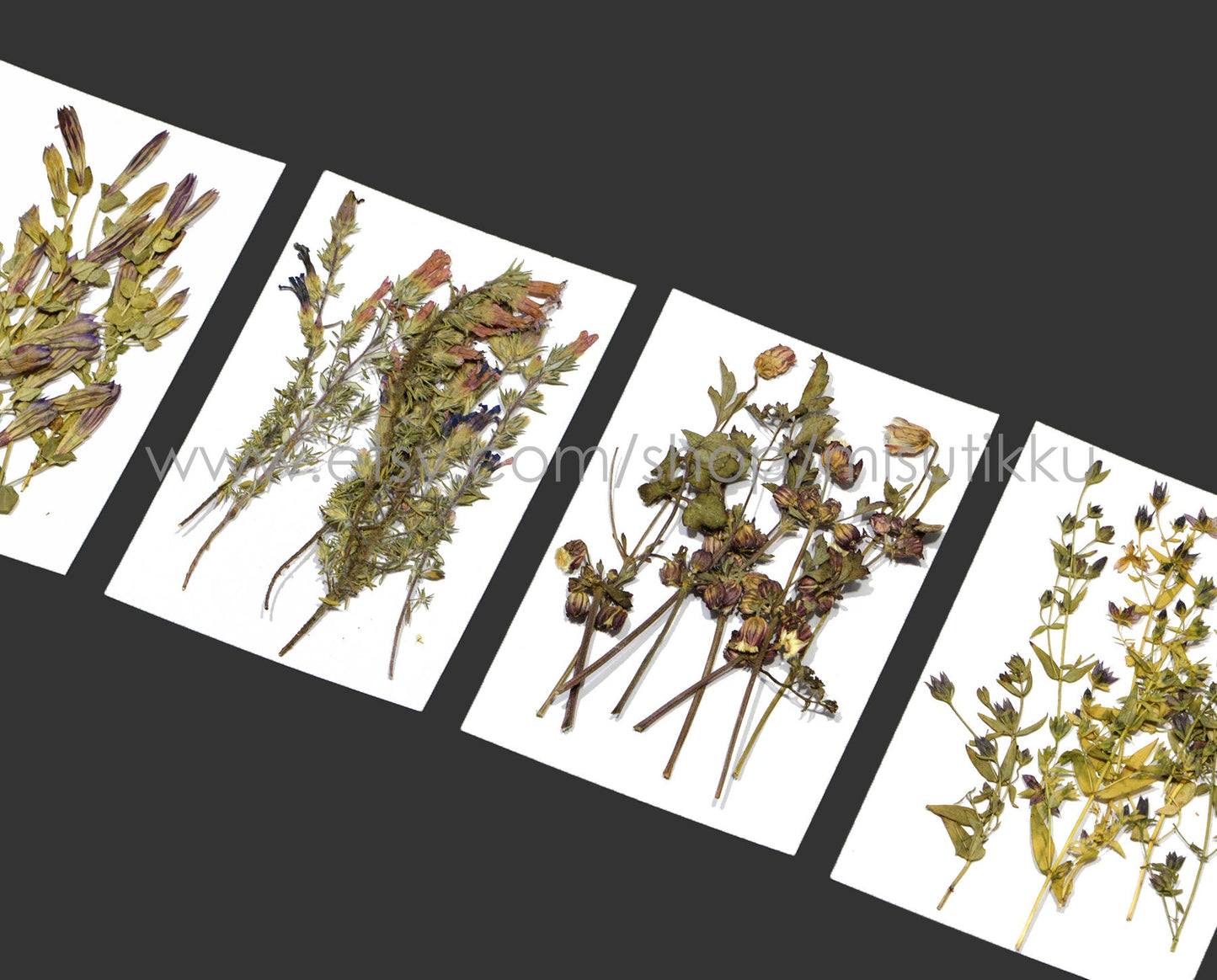 20 PCS Set Pressed Flower with Stems, Ivory Pressed Flower Dried, Pressed White Flat Dry Flowers, Preserved Real Dried Wild Flowers Foliage