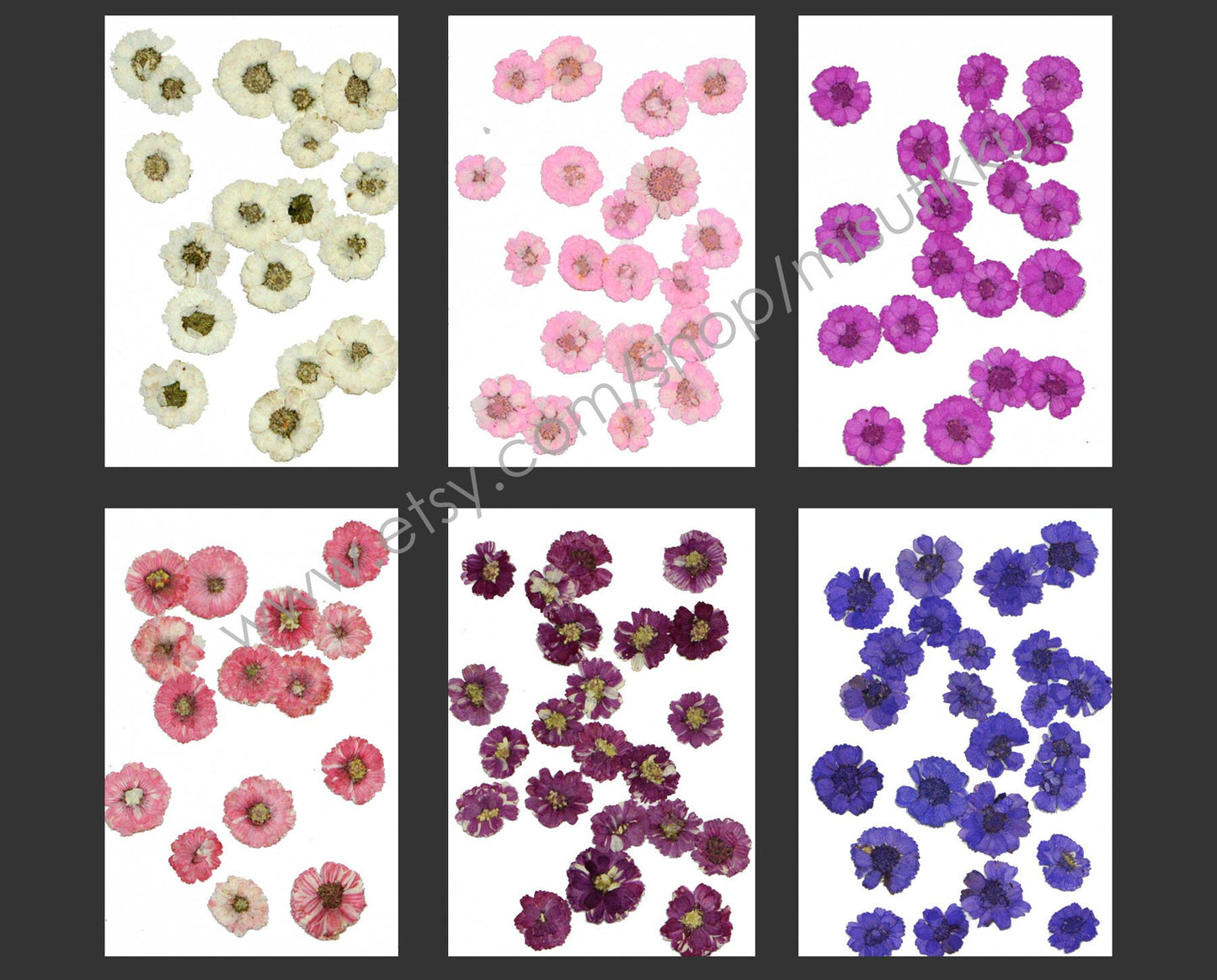 20 PCS Set (1-2CM) Dried Pressed Flowers, Mixed Flat Pressed Flowers Bulk, Pressed Dried Small Flowers , Dry Real Tiny Flower For Nail Art