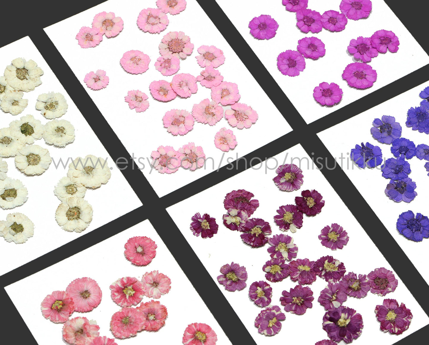 20 PCS Set (1-2CM) Dried Pressed Flowers, Mixed Flat Pressed Flowers Bulk, Pressed Dried Small Flowers , Dry Real Tiny Flower For Nail Art