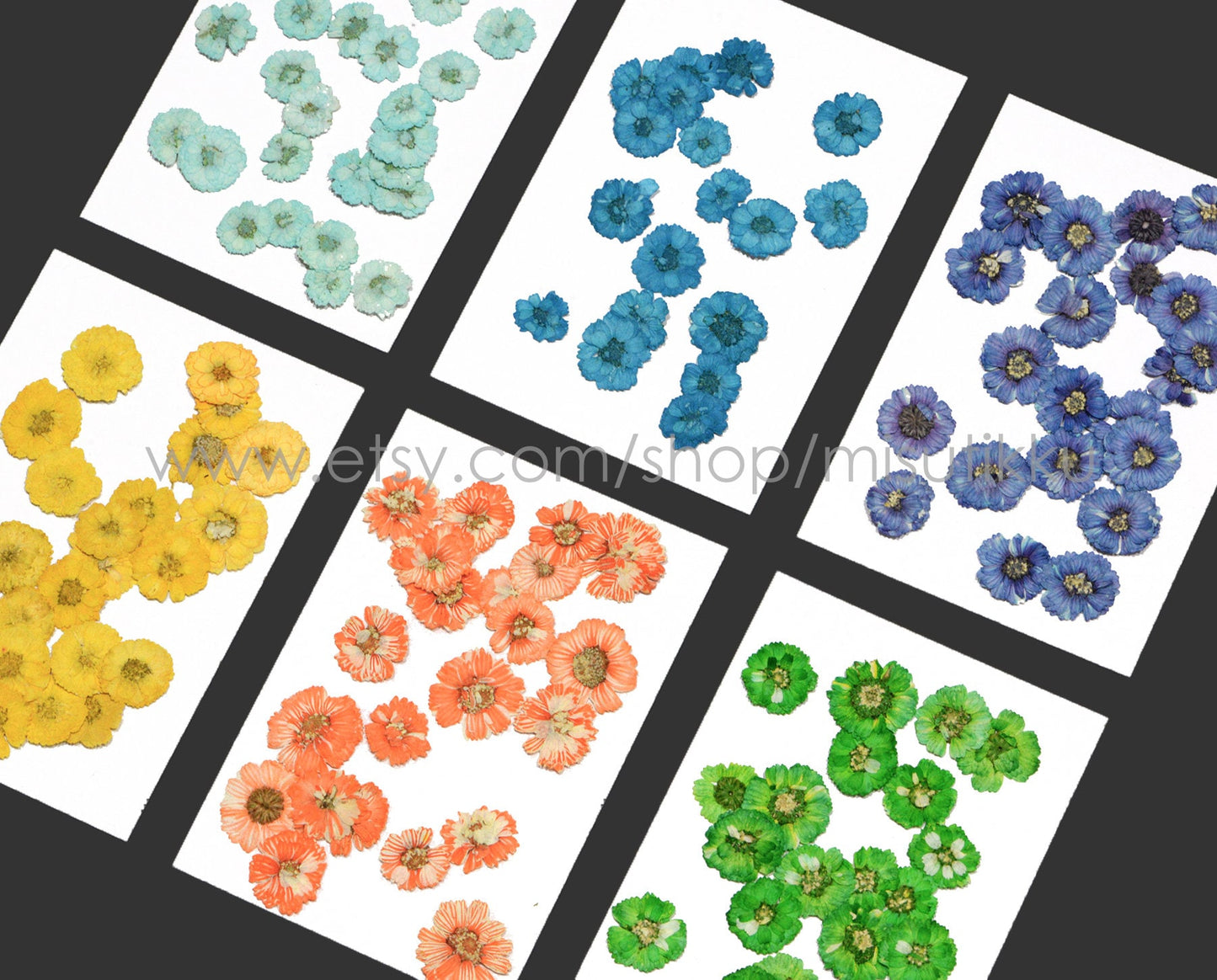 20 PCS Set (1-2CM) Dried Pressed Flowers, Mixed Flat Pressed Flowers Bulk, Pressed Dried Small Flowers , Dry Real Tiny Flower For Nail Art