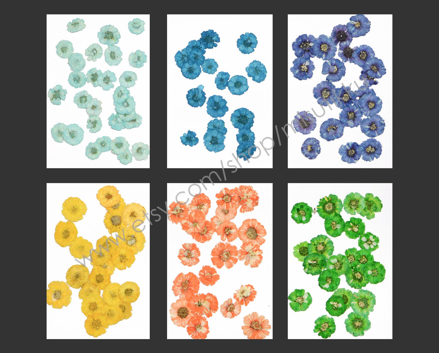 20 PCS Set (1-2CM) Dried Pressed Flowers, Mixed Flat Pressed Flowers Bulk, Pressed Dried Small Flowers , Dry Real Tiny Flower For Nail Art