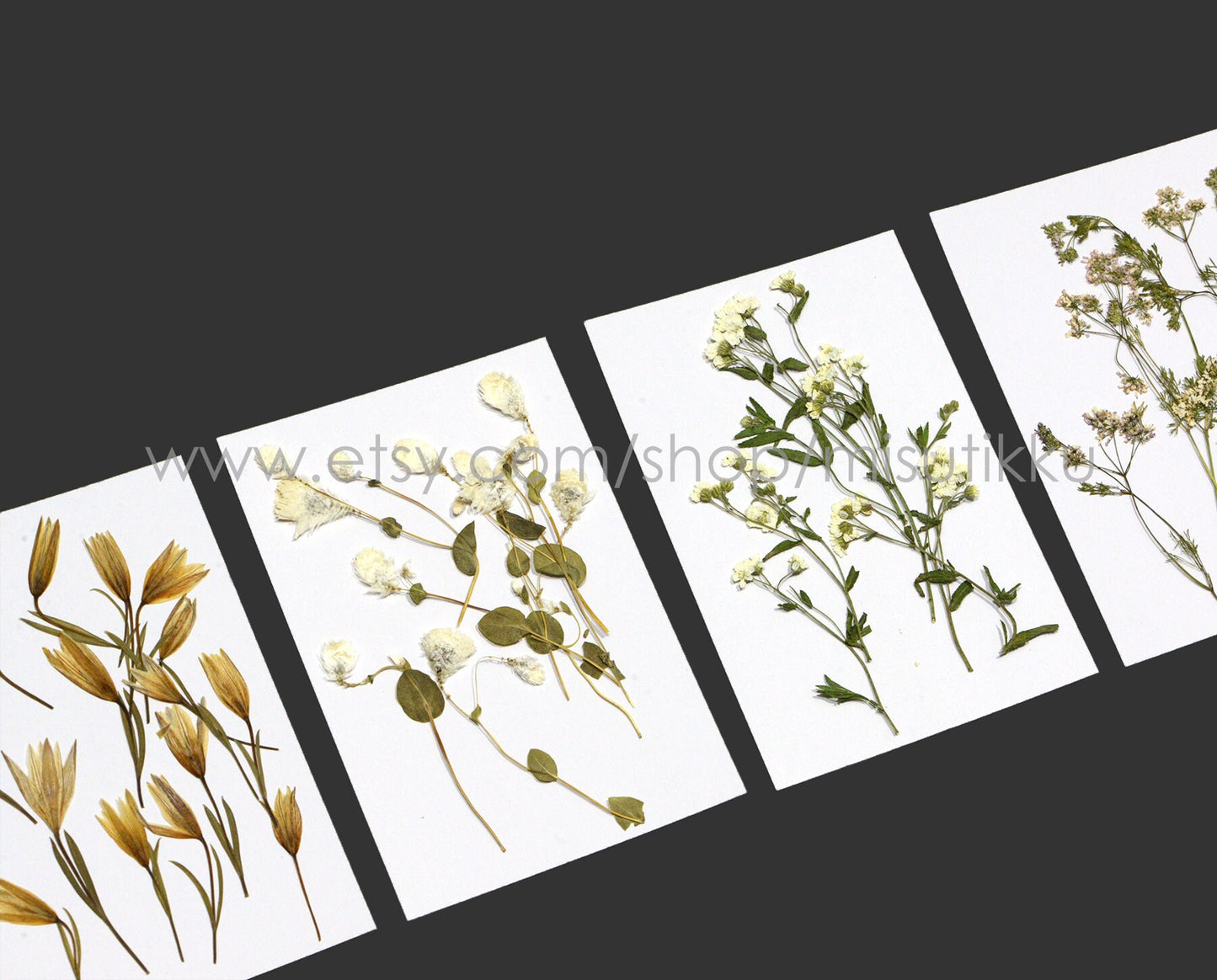 20 PCS Set Pressed Dried Flower with Stems, Ivory White Pressed Flower, Pressed Brown Leaves Flat Flowers, Preserved Real Dry Wild Flowers