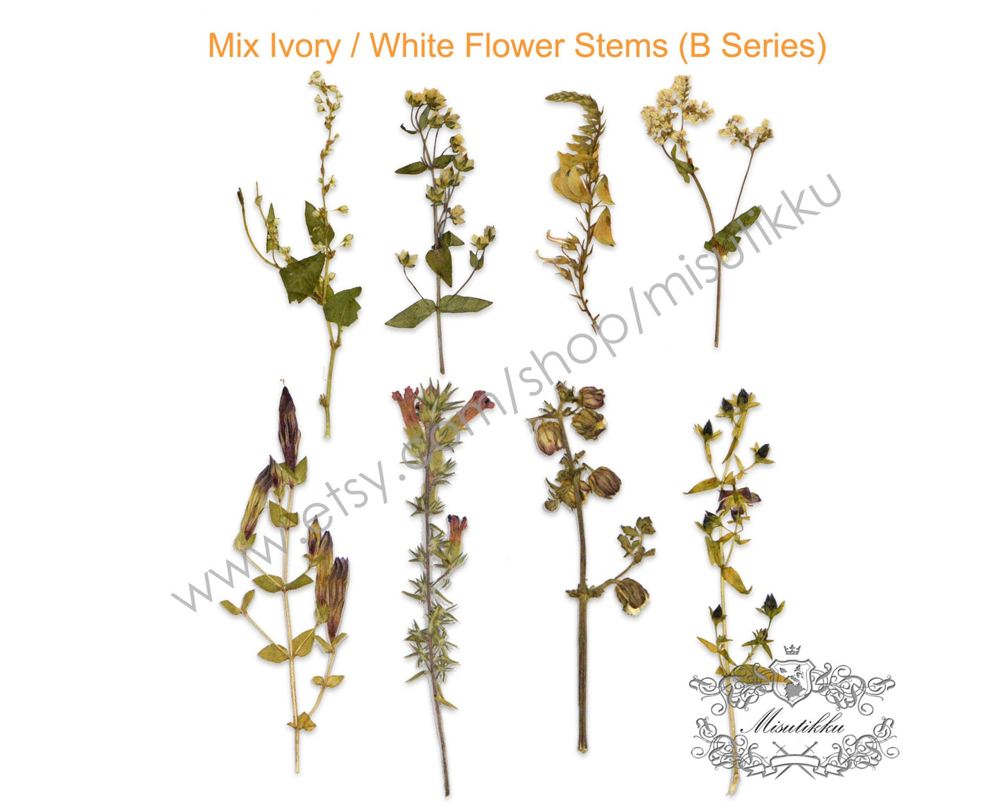 20 PCS Set Pressed Flower with Stems, Ivory Pressed Flower Dried, Pressed White Flat Dry Flowers, Preserved Real Dried Wild Flowers Foliage