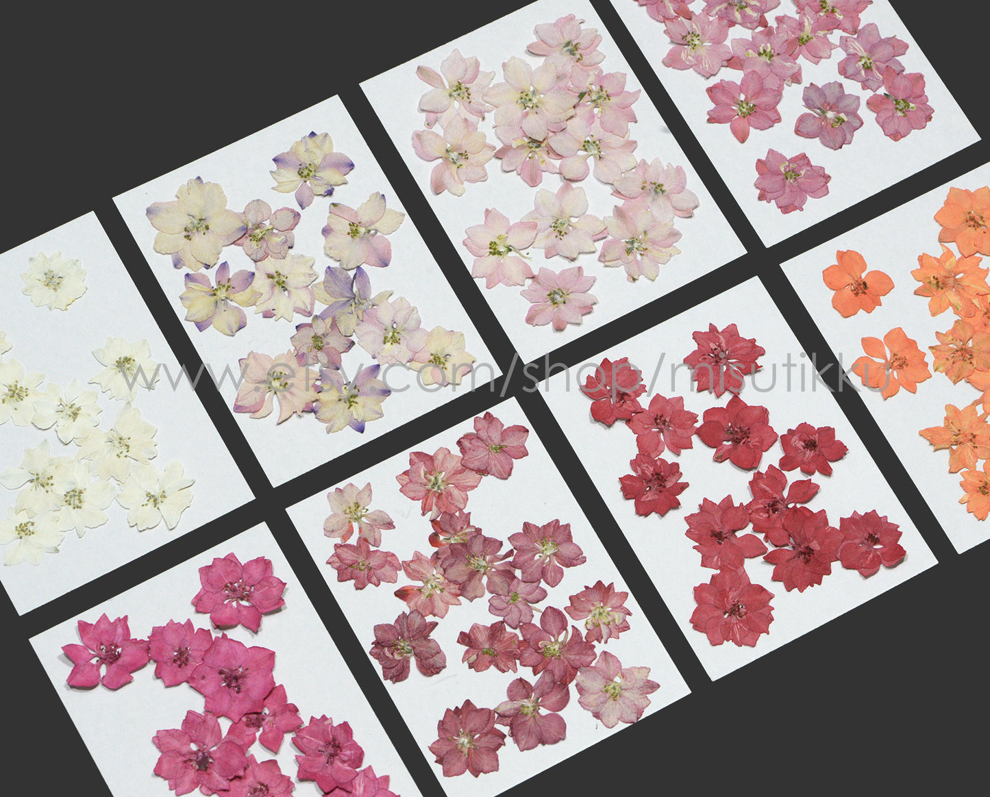 20 PCS/Set (2-3.5CM) Dried Pressed Flowers Larkspur Real Flat Larkspur Dried Flowers Preservation Larkspur Mixed Pressed Wild Flowers Bulk