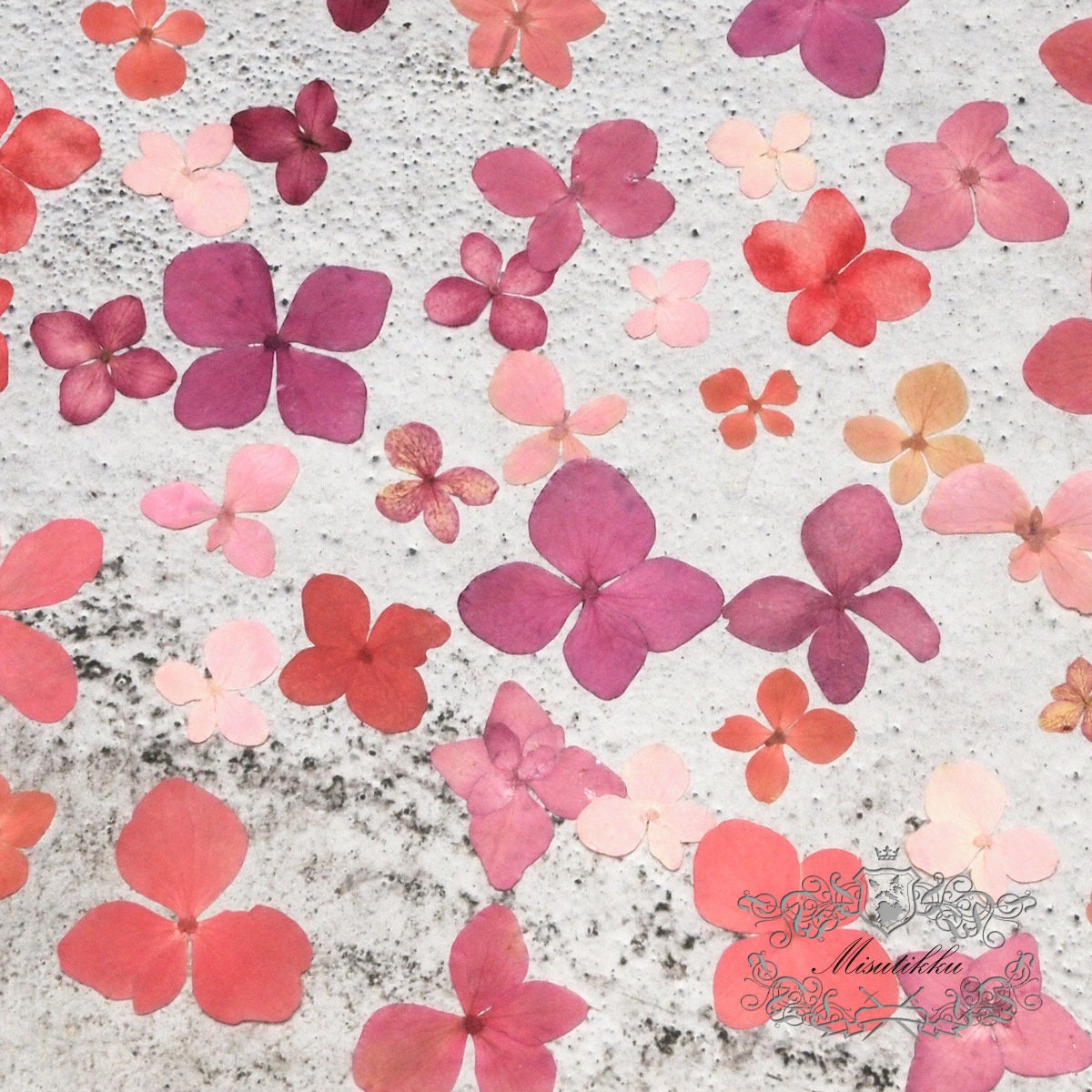 20 PCS/Set (1-3CM) Pressed Hydrangea Flowers Pressed Dry Real Flower Mix Pink and Red series hydrangea Mixed Assorted Hydrangea flowers