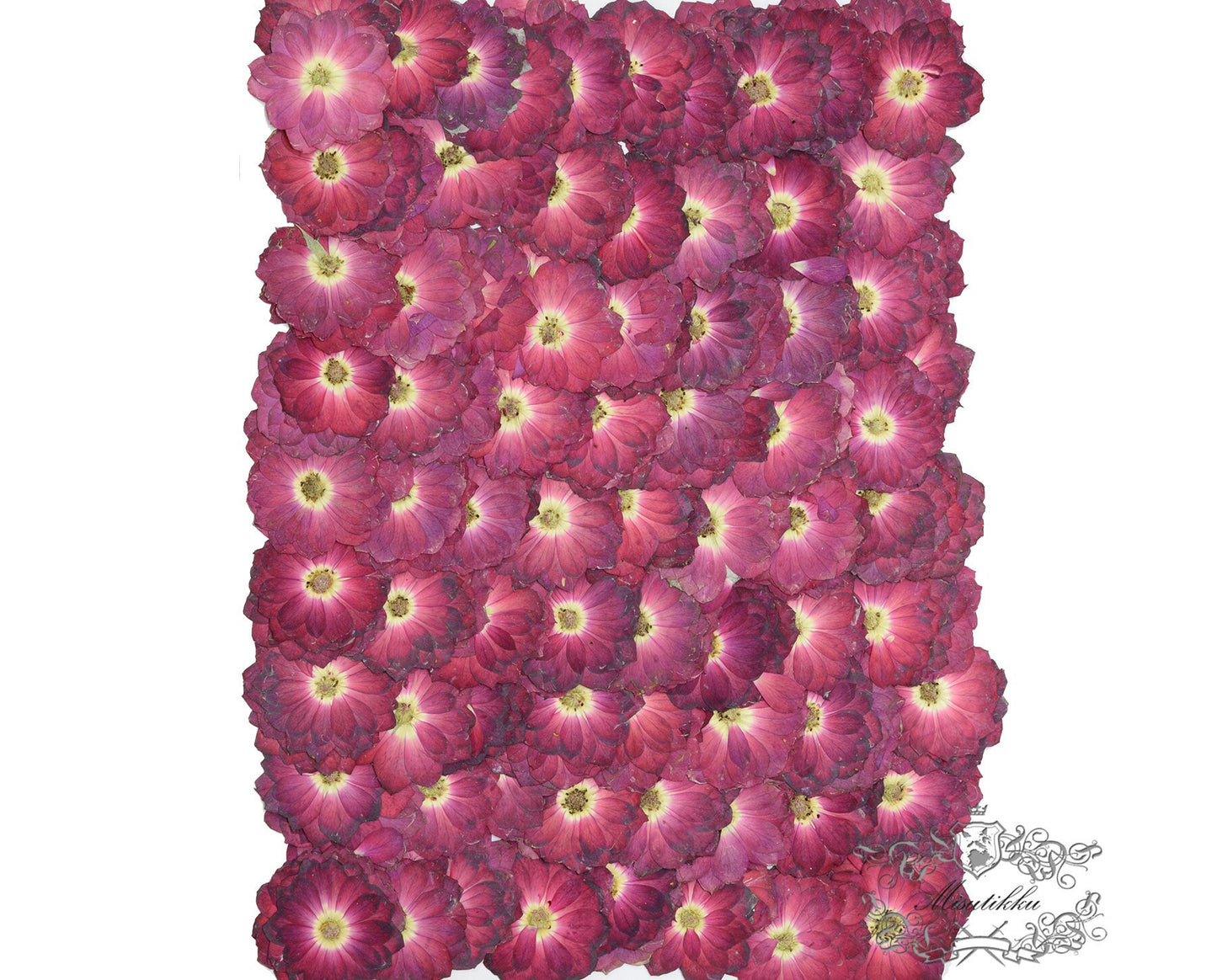 20 PCS/Set (3-4.5CM) Pressed Red Rose Flowers, Real Rose Pressed Flowers, Dried Red Rose Flowers, Flat Dry Red Roses, Pressed Red Roses,