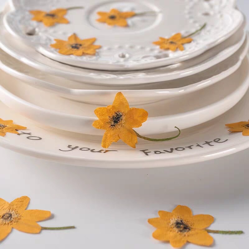 20 PCS Set (4-6CM) Pressed Dried Flower, Flat Daisy Flower Stems, Orange Dried Flower Stems, Pressed Daisies Flower, Preserved real Flowers