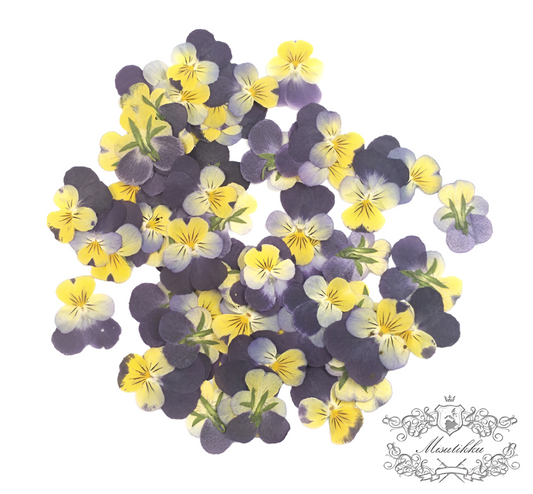 20 PCS set (2-3CM) Pressed Flowers Pansy, Real Pansy Dried Flower, Pressed Flat Pansies Viola Flower, Pressed Viola Pansy Real Dried Pansies