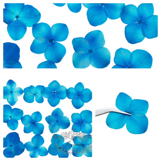 20 PCS Set (2-3CM) Pressed Flowers, Blue Hydrangea Dried Flower, Dried Real Flowers, Pressed flat Flowers, Blue Pressed Dried Flowers