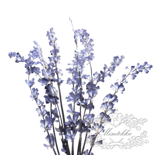 20 PCS Set (8-14CM) Pressed Lavender Flower, Dried Flower Blue Lavender, Real Pressed Flower Lavender, Flat Preserved Lavender Dried flowers