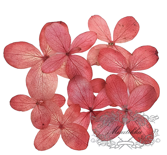 20 PCS/Set (0.8-3CM) Pressed Real Hydrangea Flower, Preserved Dried Flat Flowers, Pressed Dried Real Flowers , Pressed Red Hydrangea Flowers