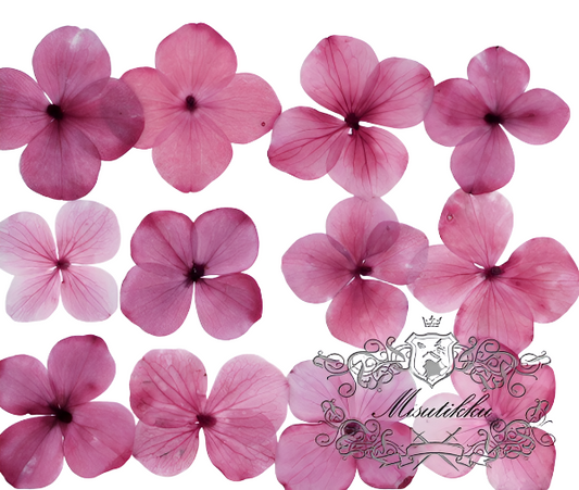 20 PCS/Set (2-3CM) Pressed Hydrangea Pink Flower, Pink Hydrangea Dried Flowers, Real Dried Pressed Flowers, Pressed flat Pink Flowers