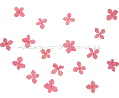 20 PCS/Set (2-3CM) Pressed Pink Flower, Pressed Hydrangea Dried Flower, Dried Hydrangea Flower, Real Hydrangea Flowers, Pink Flat Flower