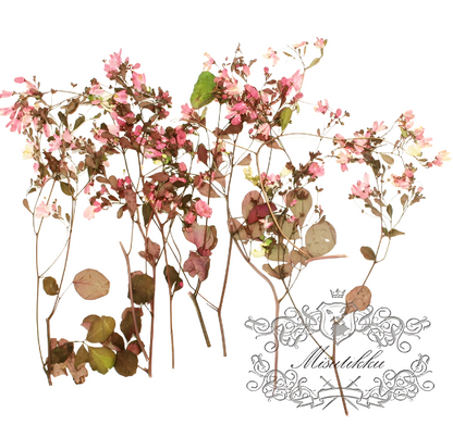 20 PCS/Set (5-8CM) Pressed Pink Flower Stems, Real Dried Pink Flowers, Flat Dried Flower Stems, Pink Pressed Flowers, Preserved Pink Flowers