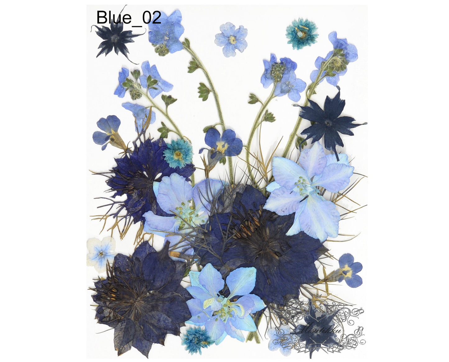 20 PC Mixed Blue Series Pressed Flowers Mix Dry Blue flower Assorted Pack Leaf Preserved wild Flowers Stems Floral Real Mixed Dried Leaves