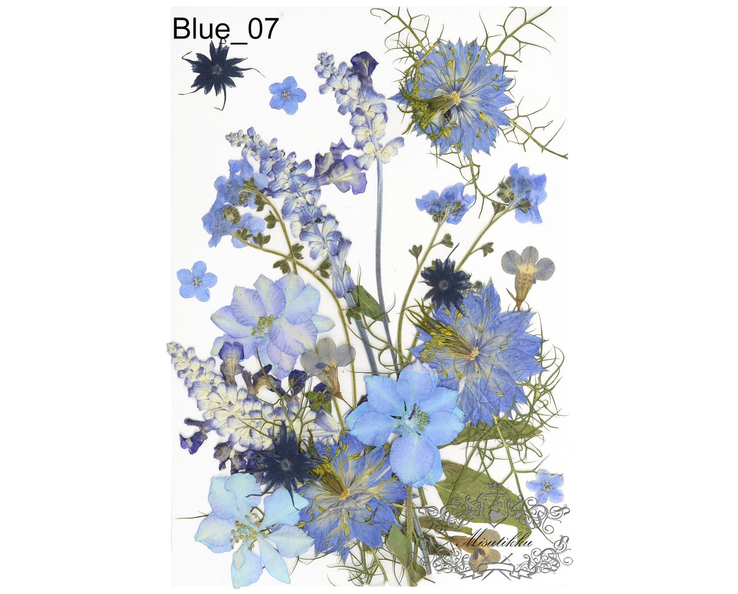 20 PC Mixed Blue Series Pressed Flowers Mix Dry Blue flower Assorted Pack Leaf Preserved wild Flowers Stems Floral Real Mixed Dried Leaves