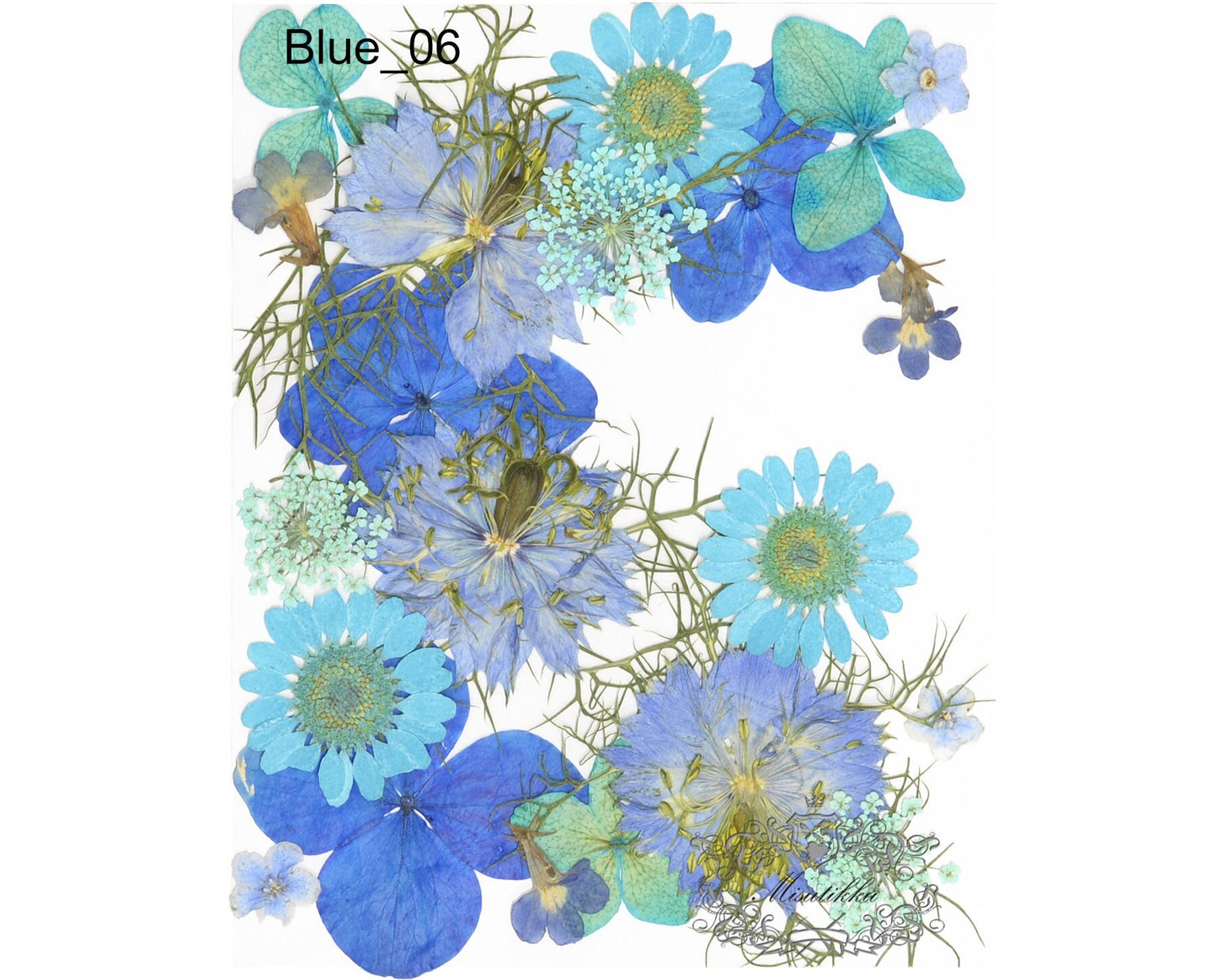 20 PC Mixed Blue Series Pressed Flowers Mix Dry Blue flower Assorted Pack Leaf Preserved wild Flowers Stems Floral Real Mixed Dried Leaves