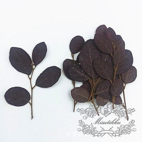 20 PCS (5-8CM) Pressed Real Black Leaves Pressed Flat Flowers Preserved Dry Wildflower Dried Petals preserved greenery Floral Foliage Stems