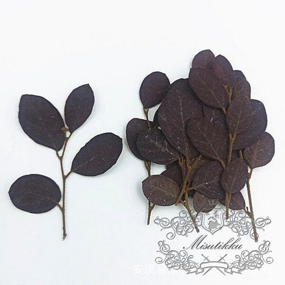 20 PCS (5-8CM) Pressed Real Black Leaves Pressed Flat Flowers Preserved Dry Wildflower Dried Petals preserved greenery Floral Foliage Stems