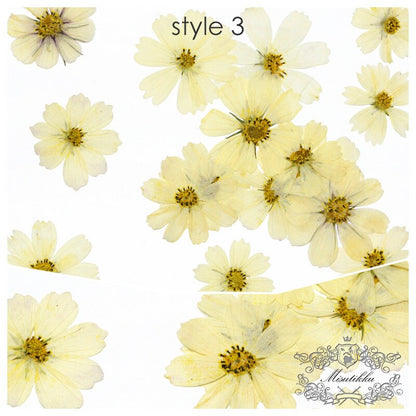 20 PCS Pack (3-12CM) Pressed Cosmos Flower, Dried Pressed Cosmos Flowers, real Pressed Flower, Preserved Large Flowers, Pressed Dried Flower