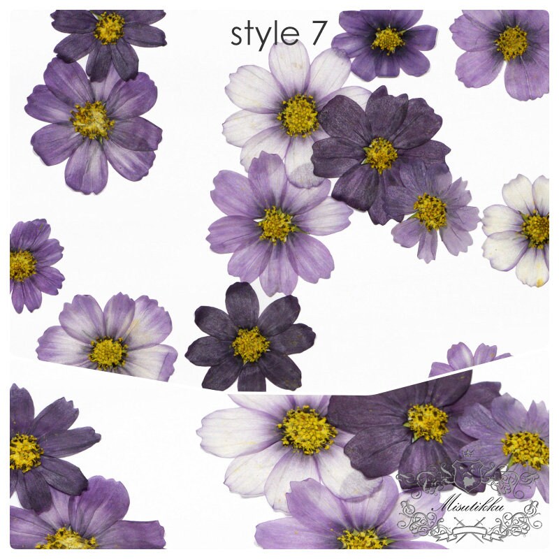 20 PCS Pack (3-12CM) Pressed Cosmos Flower, Dried Pressed Cosmos Flowers, real Pressed Flower, Preserved Large Flowers, Pressed Dried Flower