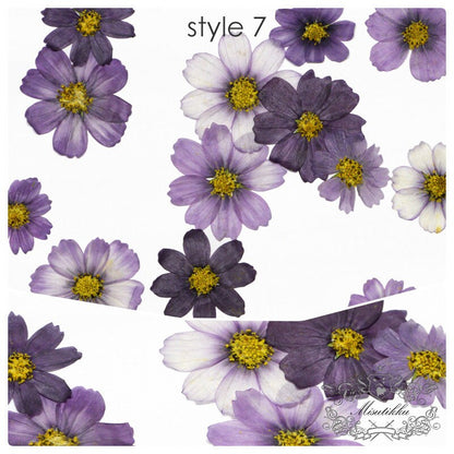 20 PCS Pack (3-12CM) Pressed Cosmos Flower, Dried Pressed Cosmos Flowers, real Pressed Flower, Preserved Large Flowers, Pressed Dried Flower