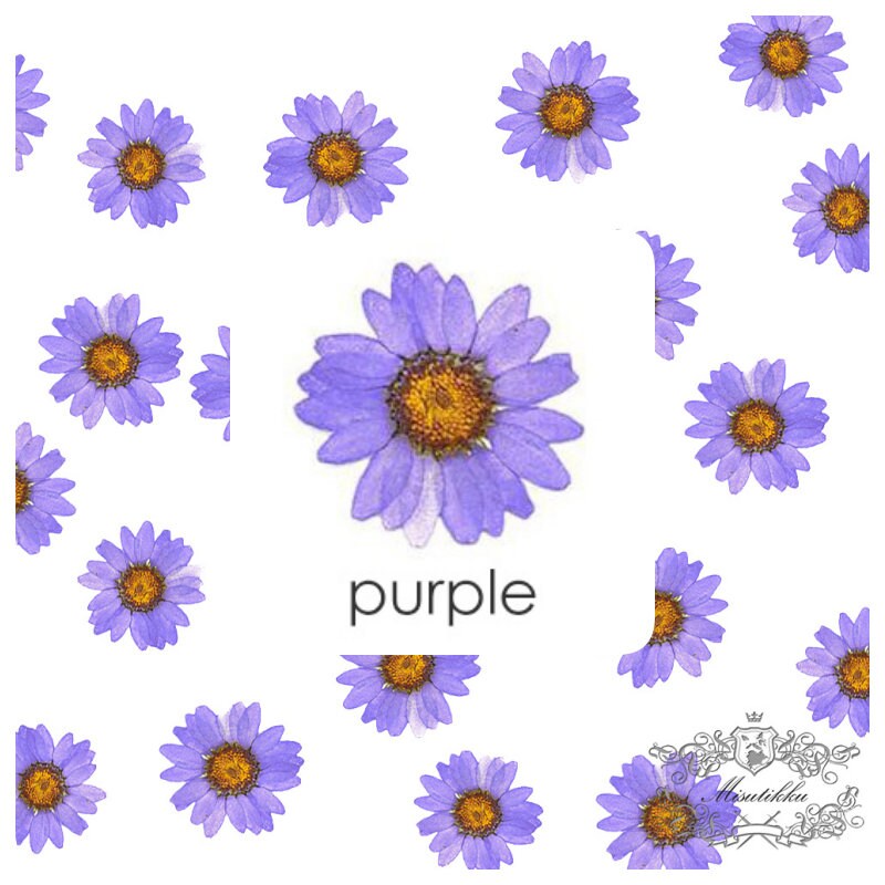 20 PCS Set (2-3CM) Dried Pressed Flower Daisy, Mixed Real Dried Daisy, Pressed Flat Daisy Flower, Pressed Purple Daisies Dried Flowers