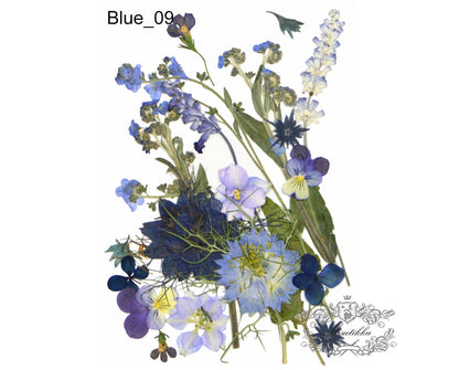 20 PC Mixed Blue Series Pressed Flowers Mix Dry Blue flower Assorted Pack Leaf Preserved wild Flowers Stems Floral Real Mixed Dried Leaves