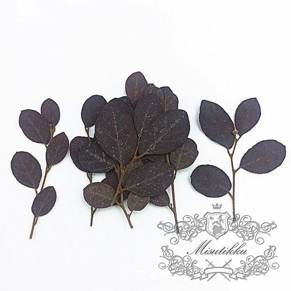 20 PCS (5-8CM) Pressed Real Black Leaves Pressed Flat Flowers Preserved Dry Wildflower Dried Petals preserved greenery Floral Foliage Stems