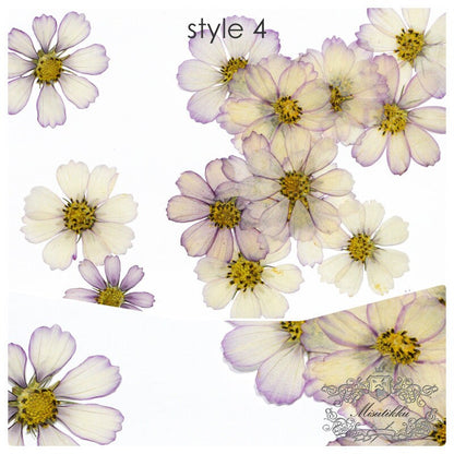 20 PCS Pack (3-12CM) Pressed Cosmos Flower, Dried Pressed Cosmos Flowers, real Pressed Flower, Preserved Large Flowers, Pressed Dried Flower