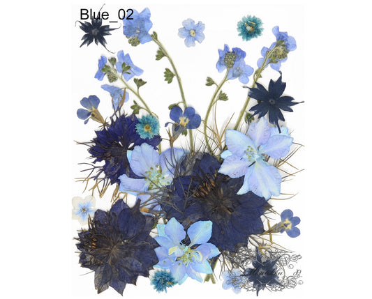 20 PCS Pressed Blue Flower Mix Bulk Variety Pack Real Dry Flowers Dried Assortment leaf Mixed Floral Blue Forget me nots Flower Leaves