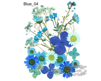 20 PC Mixed Blue Series Pressed Flowers Mix Dry Blue flower Assorted Pack Leaf Preserved wild Flowers Stems Floral Real Mixed Dried Leaves