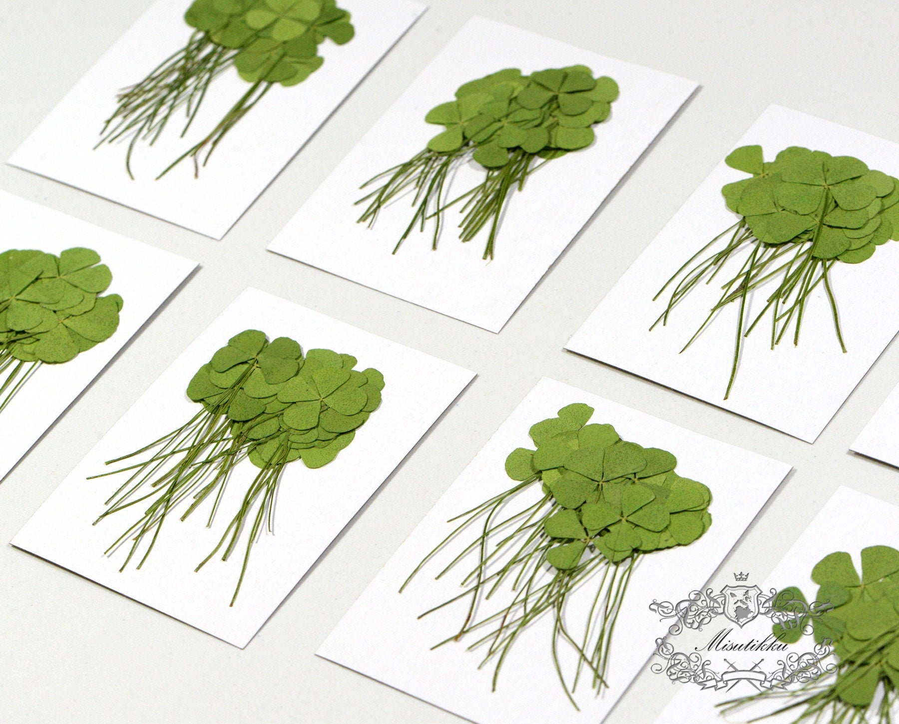 20 PCS /Pack (4 Sizes) Pressed Four Leaves Clover, Preserved Four leaves Clover, Real Dried Four Leaves clover, Dried Pressed Flower Leaves