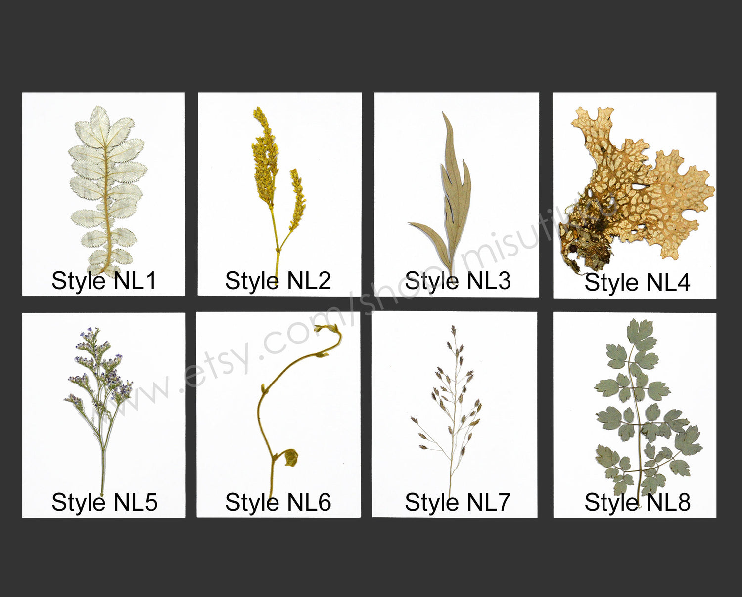 A Pack of 20 PCS Pressed Brown Leaves real Dried Flowers Flat Winter Leaf Dry Preserved wildlower Petals Fern Foliage Stems Greeny (7-14CM)