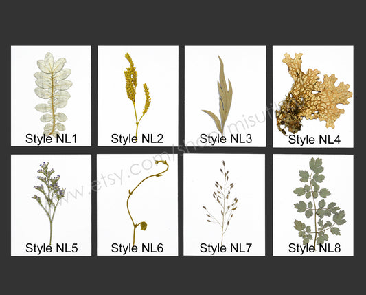 A Pack of 20 PCS Pressed Brown Leaves real Dried Flowers Flat Winter Leaf Dry Preserved wildlower Petals Fern Foliage Stems Greeny (7-14CM)
