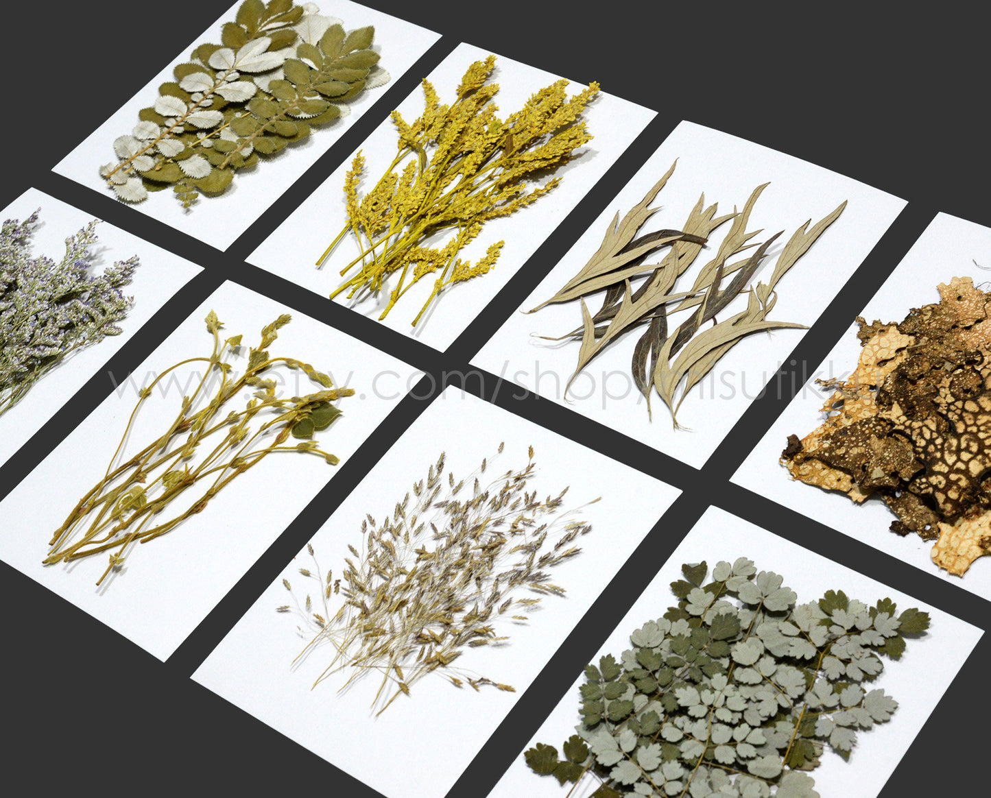 A Pack of 20 PCS Pressed Brown Leaves real Dried Flowers Flat Winter Leaf Dry Preserved wildlower Petals Fern Foliage Stems Greeny (7-14CM)