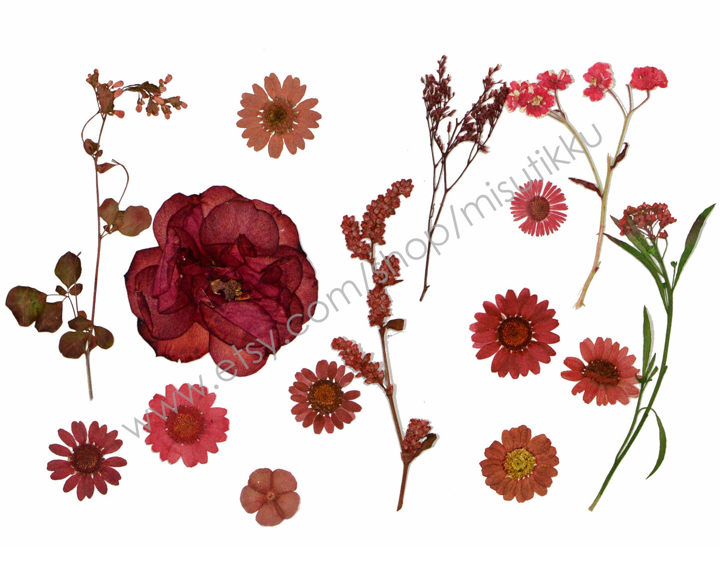 100 PCS Set Pressed Red Flowers, Mixed Dried Pressed Flowers Stems, Real Pressed Dried Flower Variety Pack. Pressed Flat Red Real Flowers