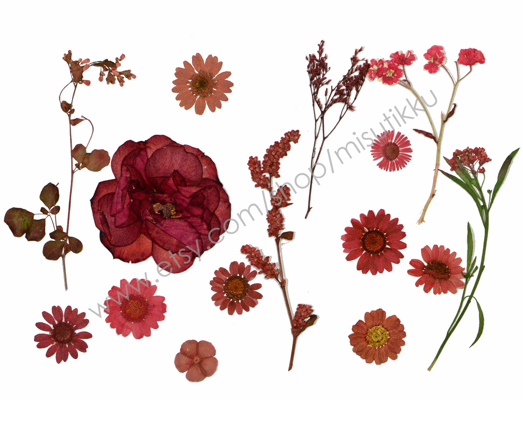 100 PCS Set Pressed Red Flowers, Mixed Dried Pressed Flowers Stems, Real Pressed Dried Flower Variety Pack. Pressed Flat Red Real Flowers