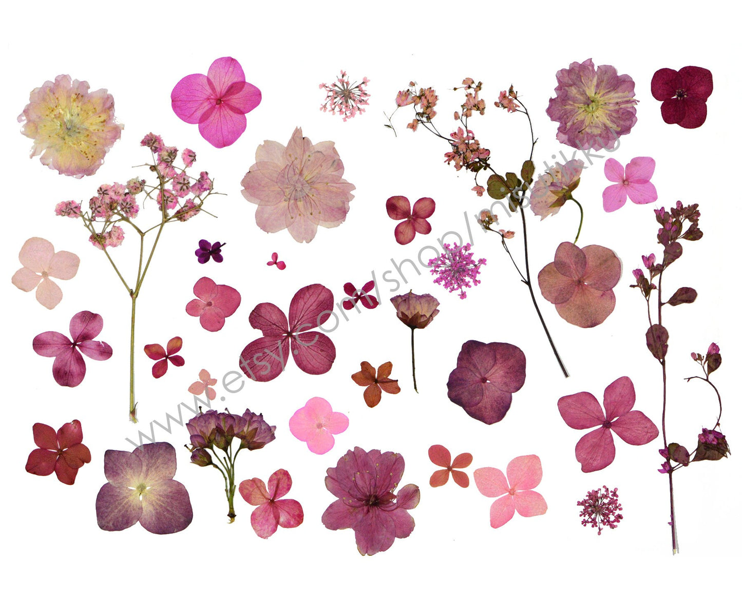 20 PCS Set Pressed Dried Flower, Bulk Pressed Pink Flower, Dried Pressed Flat Flower, Pink Pressed Flower Stems, Pressed Real Dried Flowers