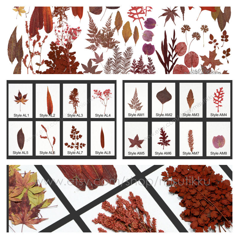 20 PCS Set Dried Pressed Flower Fall leaves Flowers Mixed Red Autumn Leaves Flat real Leaves Flower Preserved Flower Leaves Fern Foliage