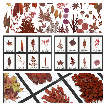 20 PCS Set Dried Pressed Flower Fall leaves Flowers Mixed Red Autumn Leaves Flat real Leaves Flower Preserved Flower Leaves Fern Foliage