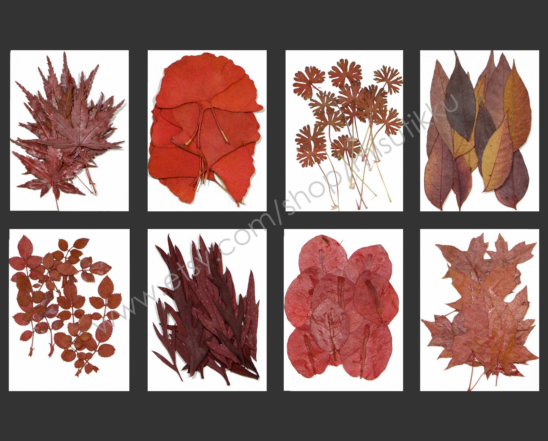 20 PCS Set Dried Pressed Flower Fall leaves Flowers Mixed Red Autumn Leaves Flat real Leaves Flower Preserved Flower Leaves Fern Foliage