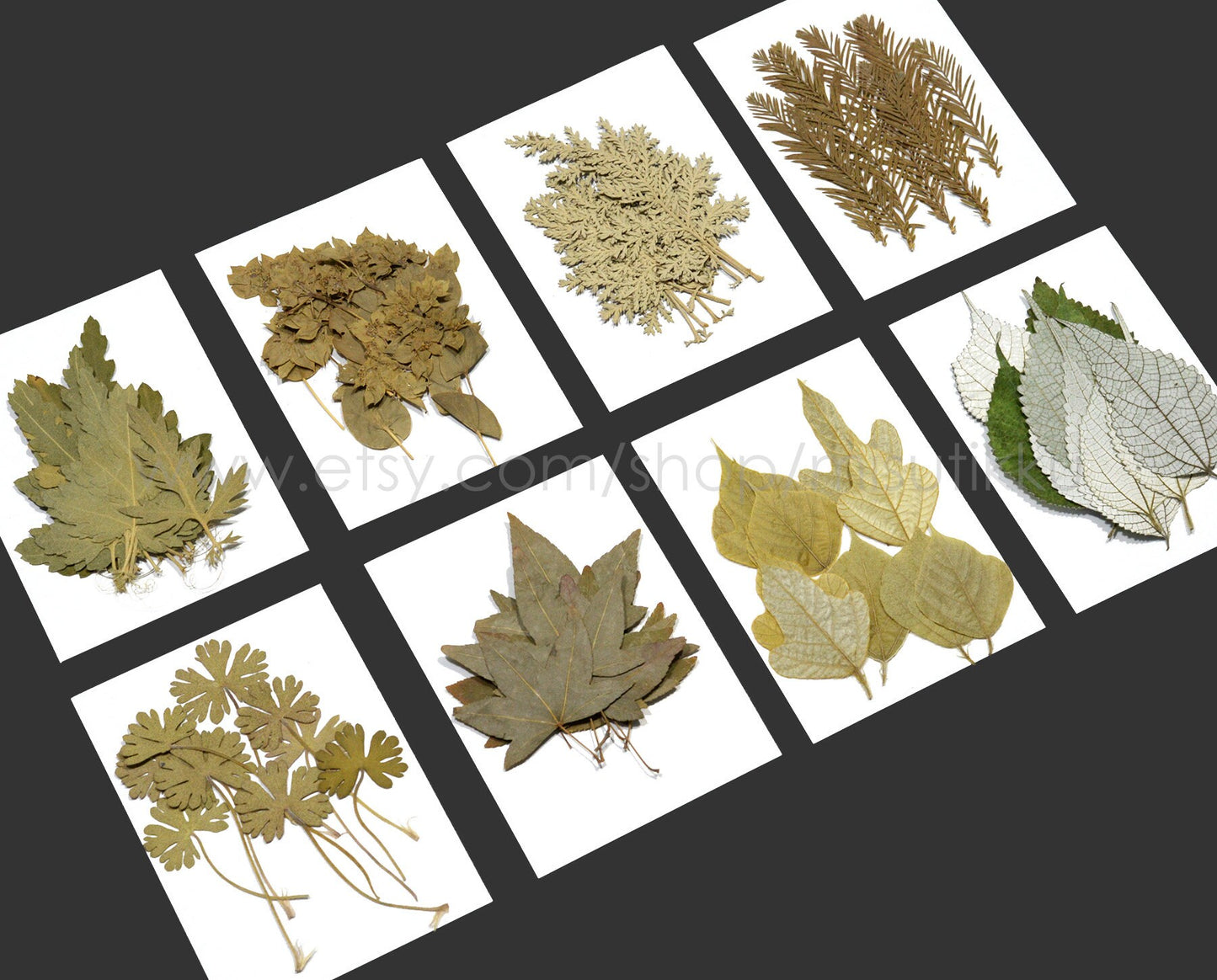 20 PCS/Pack Pressed Flower Leaves Real Dried Leaves Dry Winter Fern Brown Dry Flat leaf Preserved Flower Greeny Floral Foliage Stems (4-7CM)