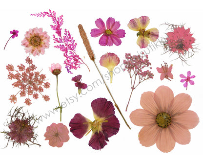 20 PCS Set Pressed Dried Flower, Bulk Pressed Pink Flower, Dried Pressed Flat Flower, Pink Pressed Flower Stems, Pressed Real Dried Flowers