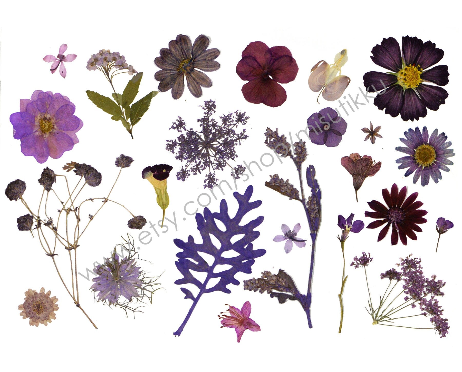 20 PCS Set Dried Pressed Purple Flowers Mixed, Dried Preserved Flower Stems, Real Pressed Flower, Purple Dried Flowers. Flat Pressed Flowers