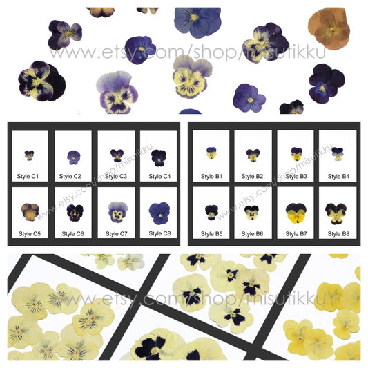 20 PCS Set (1.5-5CM) Dried Pansy Pressed Flower, Real Pressed Dried Pansies Flower, Pressed Flat Viola Pansies, Preserved Flat Viola Flowers