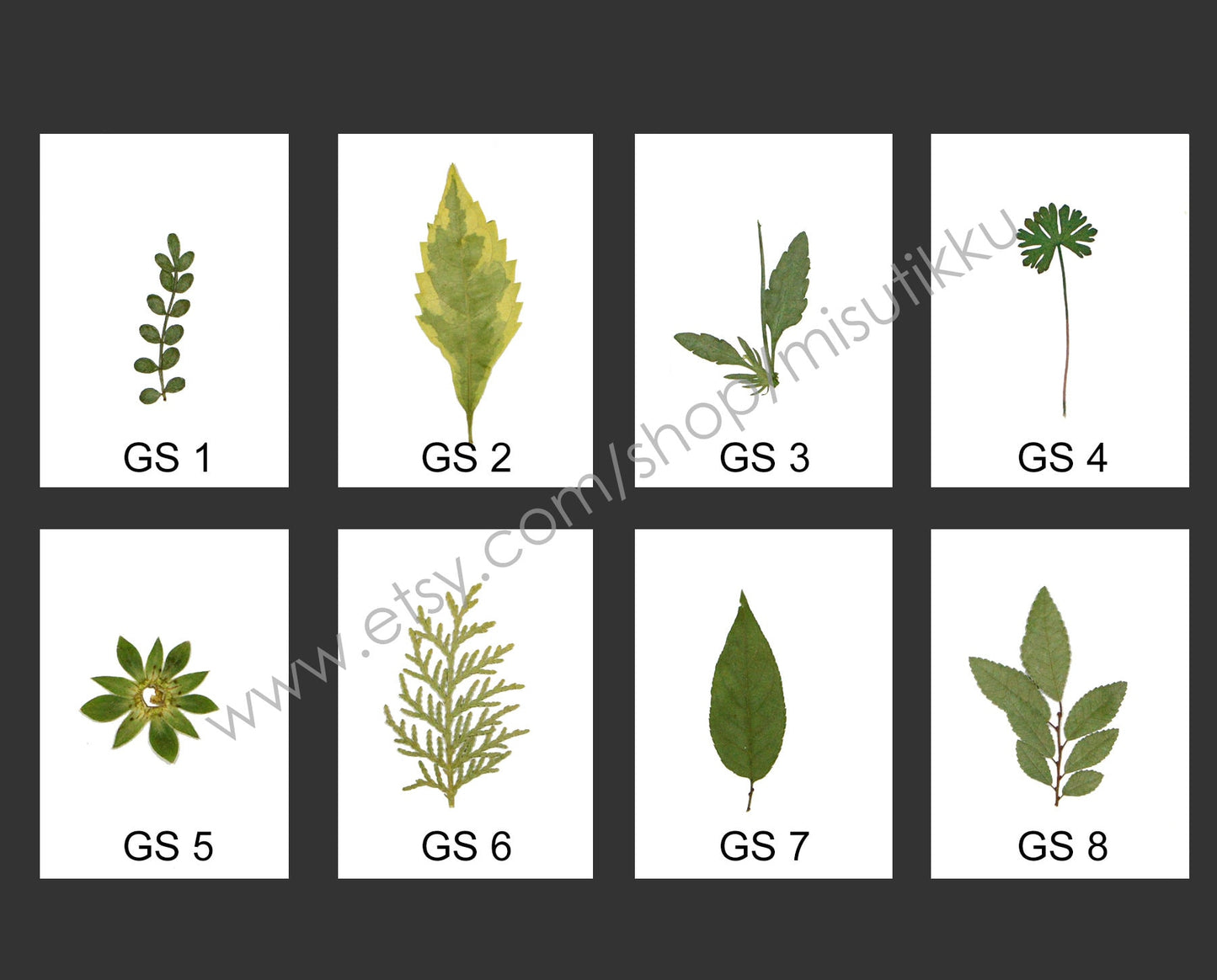 20 PCS Set (4-8CM) Pressed Flower Leaves Real flower dried Leaf Flat pressed wildflowers Fern Pressed Real Green leaves Floral Foliage Stems