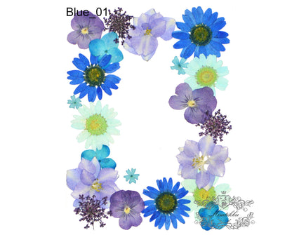 20 PC Mixed Blue Series Pressed Flowers Mix Dry Blue flower Assorted Pack Leaf Preserved wild Flowers Stems Floral Real Mixed Dried Leaves