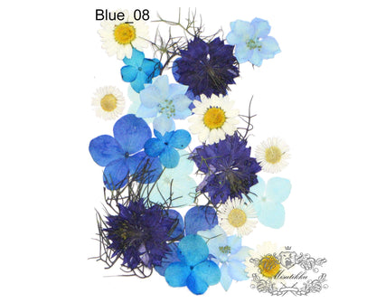 20 PC Mixed Blue Series Pressed Flowers Mix Dry Blue flower Assorted Pack Leaf Preserved wild Flowers Stems Floral Real Mixed Dried Leaves